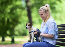Pet care